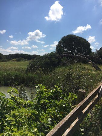 Oasi WWF di Macchiagrande